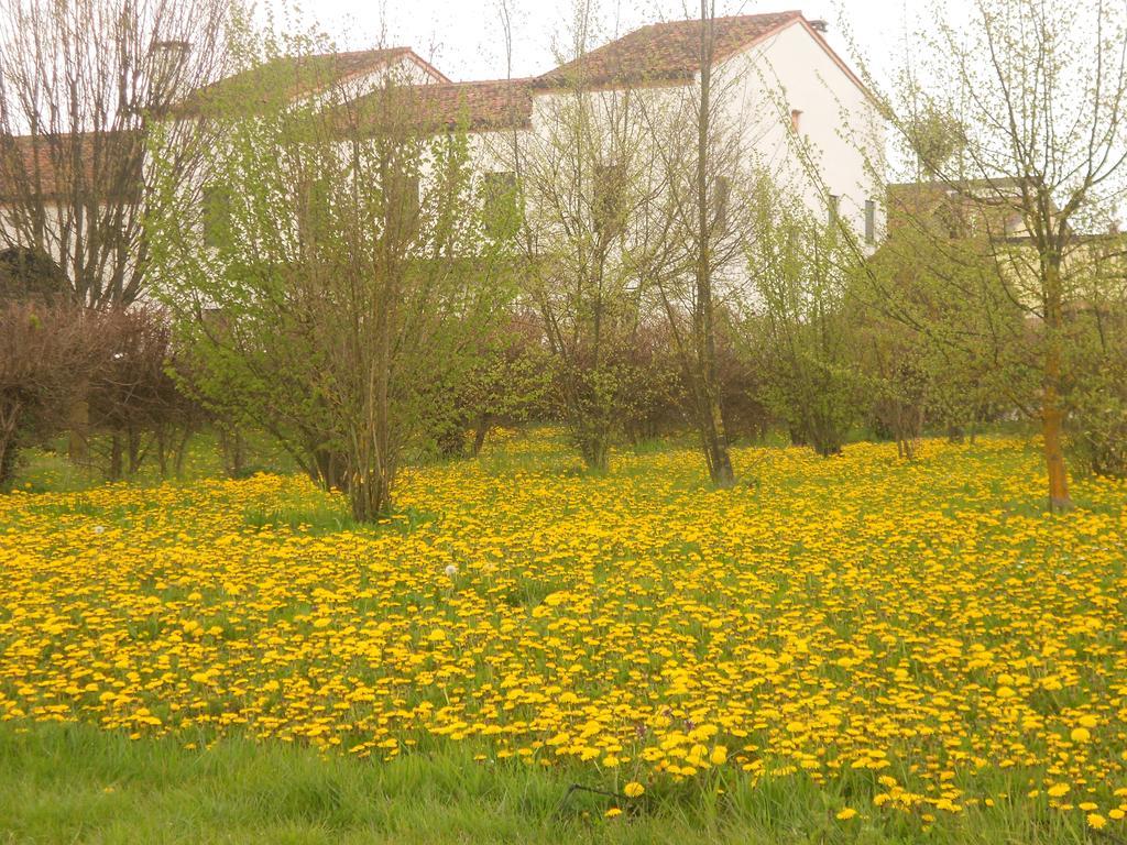 Ponte San Nicolò Villa Gaudio מראה חיצוני תמונה